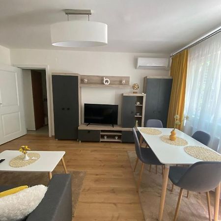 Apartamentul Gaviota Timisoara Bagian luar foto
