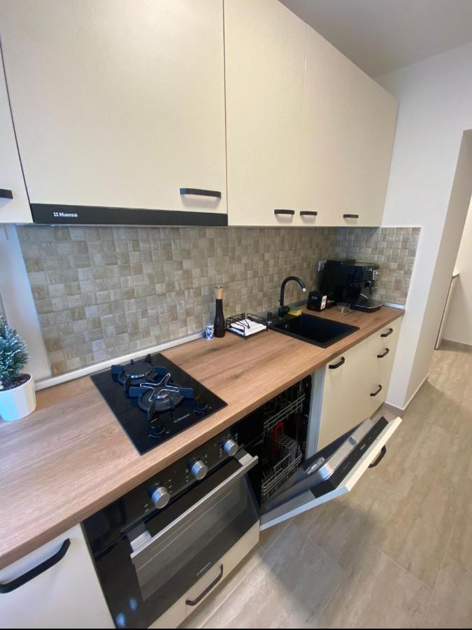 Apartamentul Gaviota Timisoara Bagian luar foto
