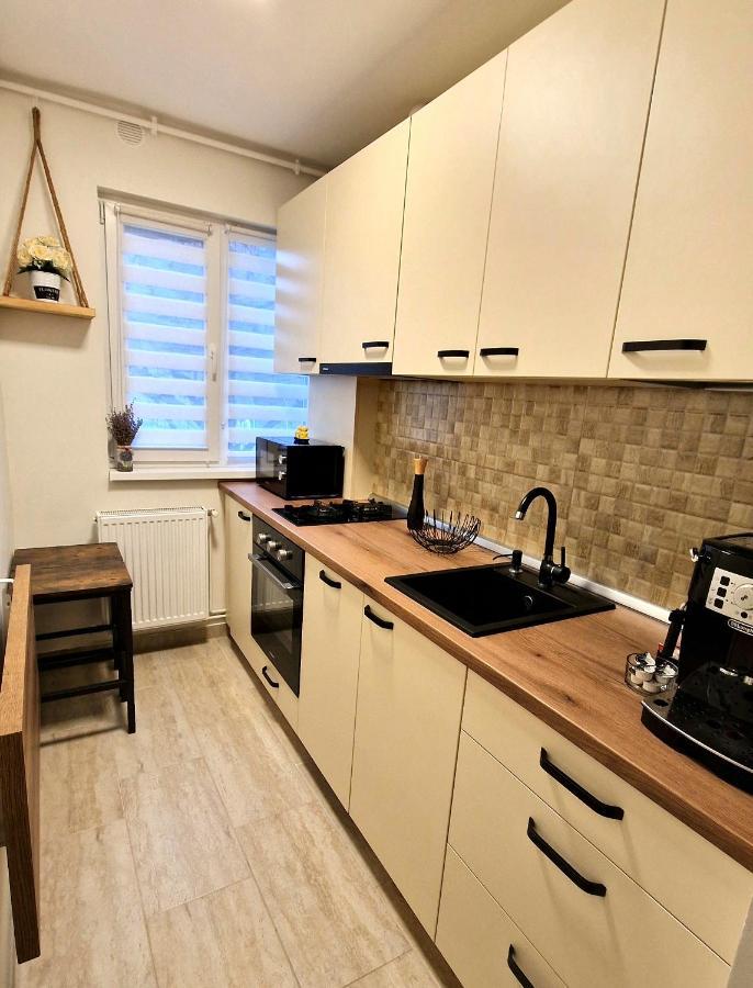 Apartamentul Gaviota Timisoara Bagian luar foto