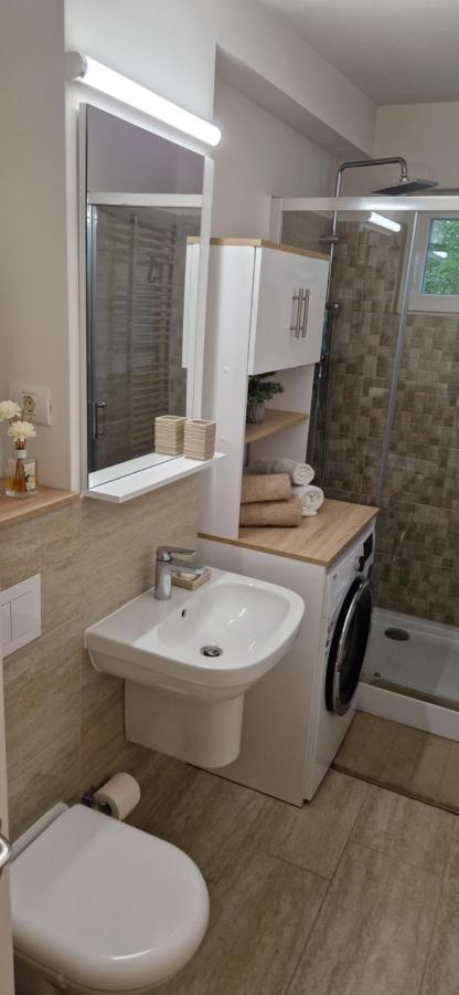 Apartamentul Gaviota Timisoara Bagian luar foto