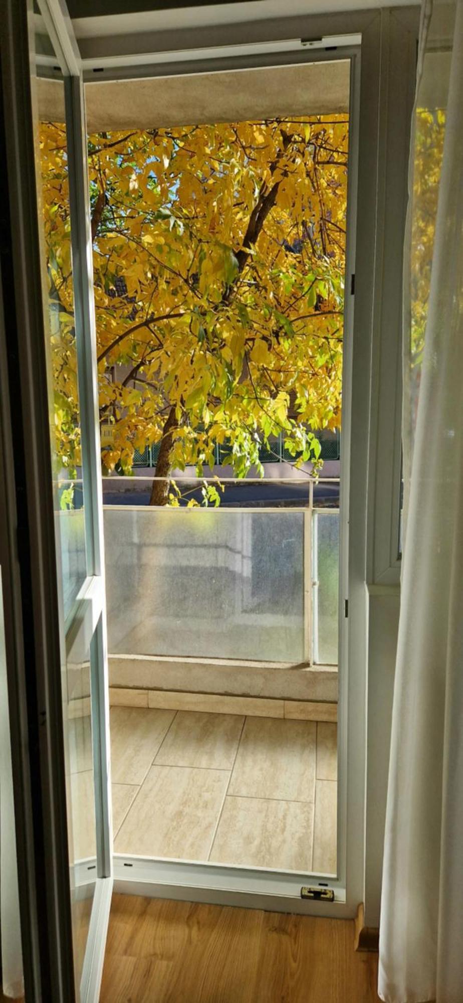 Apartamentul Gaviota Timisoara Bagian luar foto